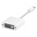 Mini DisplayPort DVI Adapter