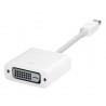 Mini DisplayPort DVI Adapter