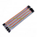 20cm 40Pin cable DuPont male-male