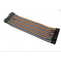 20cm 40Pin cable DuPont female-female
